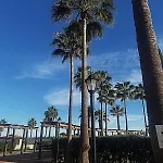 La Noria Pie De Playa Manilva *